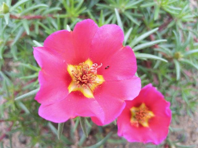 老年人睡眠，有个好习惯，对身体健康有好处