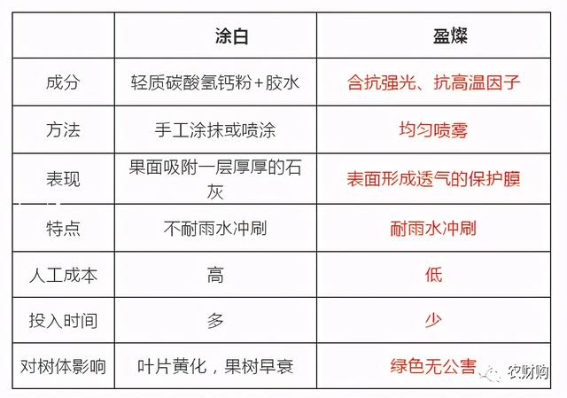 5类柑橘防晒剂大PK,优缺点详细介绍，究竟谁是下一个翘楚？5