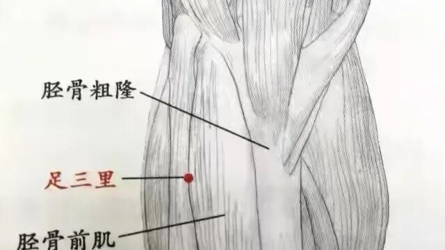 关于灸的常识及保健穴位