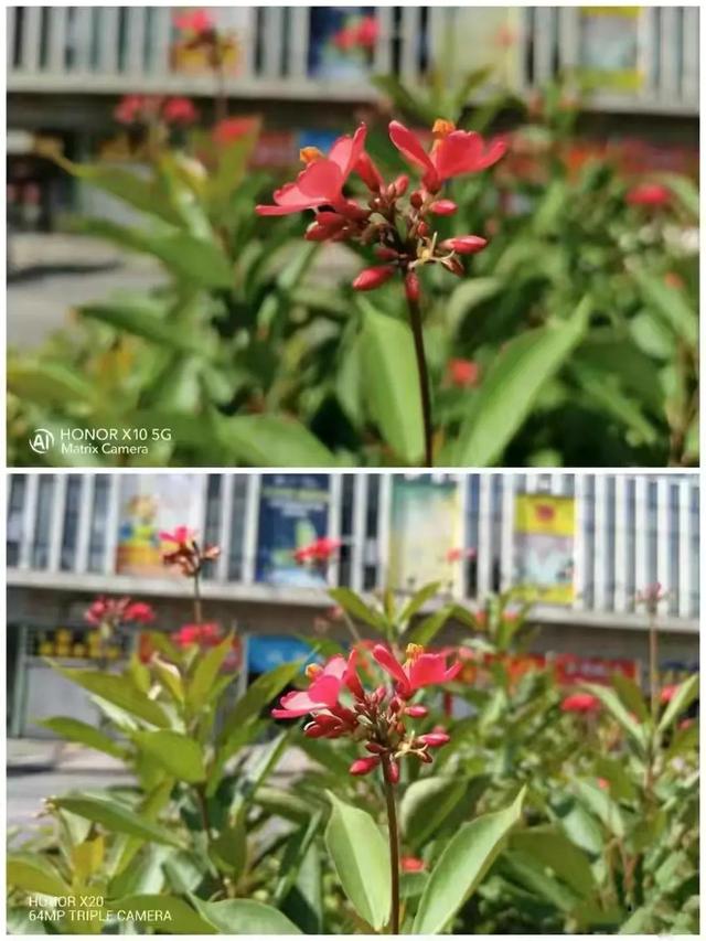 荣耀x10和荣耀x20对比，哪一款更值得买呢？