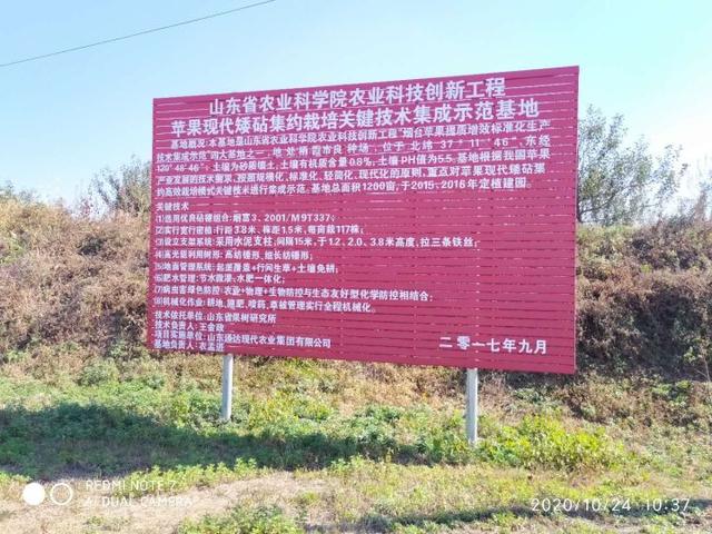 山东农科院科技创新工程项目助力打造 栖霞苹果 名优品牌 全网搜