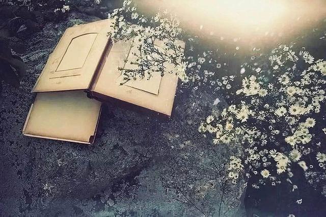 懂得孤独，方知人生