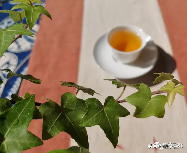 注意！喝太多茶容易引起身体不适