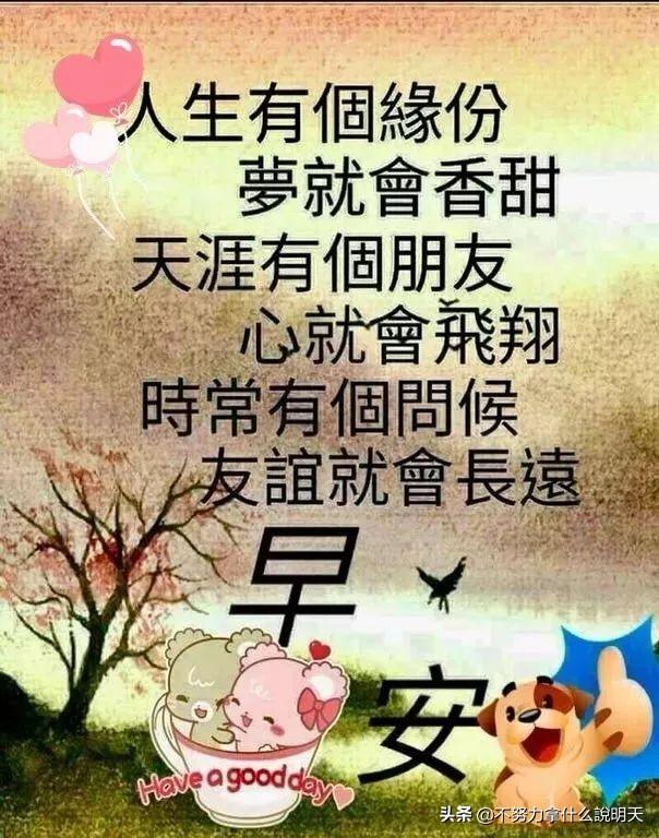 美美哒早安问候祝福语图片，优美的早安祝福语暖心句子送给你