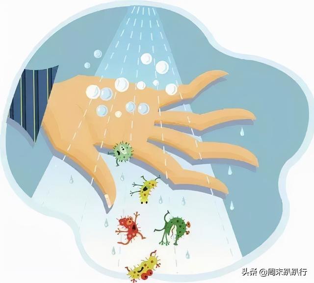 亲子打卡！科学探索，细菌好有趣啊，参观1000+件标本