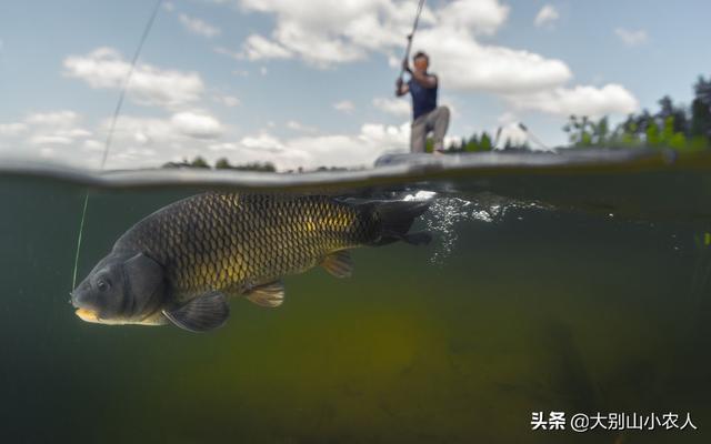 封海期是什么时候