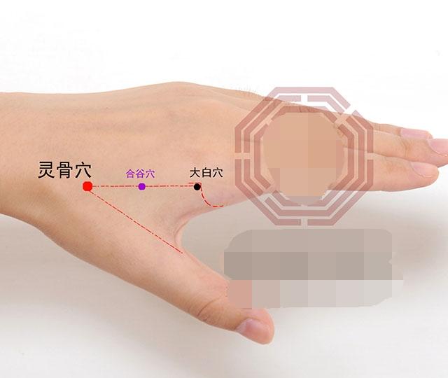 中医针灸鼻腔疾病处方1