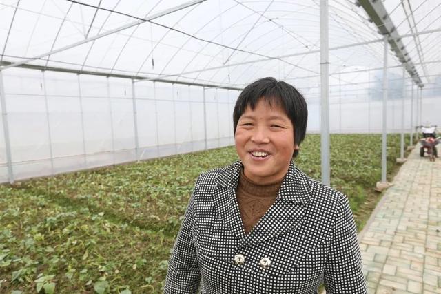 长治饲料破碎机