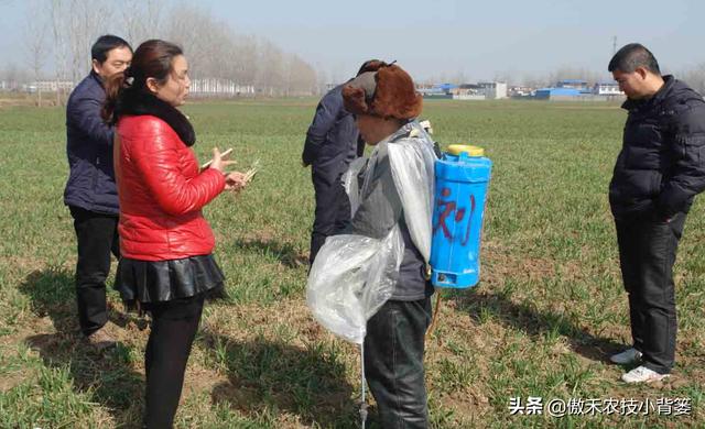 打除草剂后田间杂草杀不死、作物出现药害？这样打药除草效果最好18