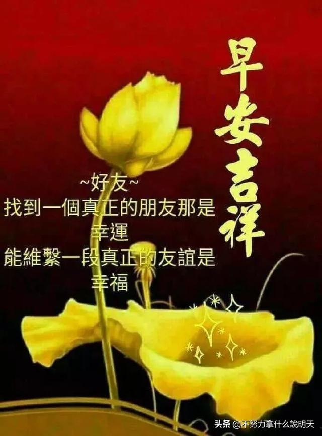 美美哒早安问候祝福语图片，优美的早安祝福语暖心句子送给你