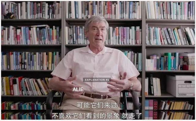 外星伴侣歌词什么意思