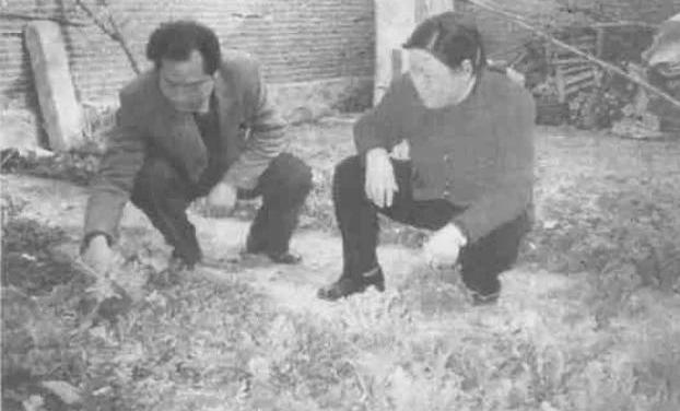 江苏马牙石制砂机厂家