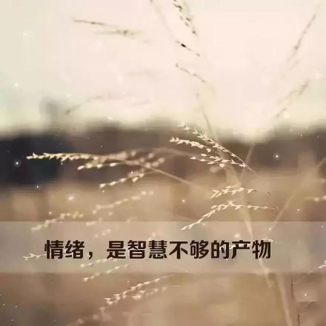 情绪，就是心魔