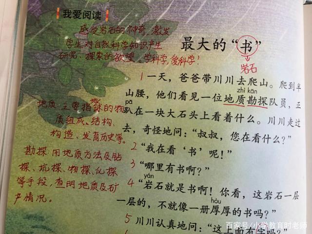 石头上怎么会有贝壳呢
