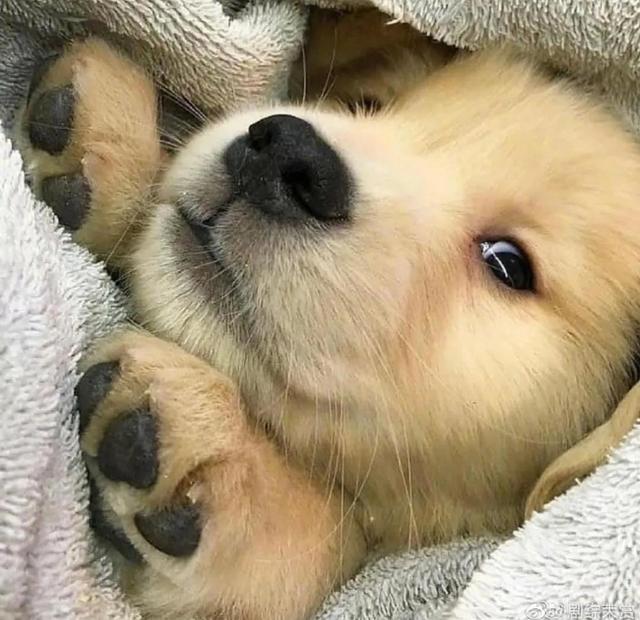 盼望盼望着东风来了,东风是指什么方向的风(盼望着春天来了)