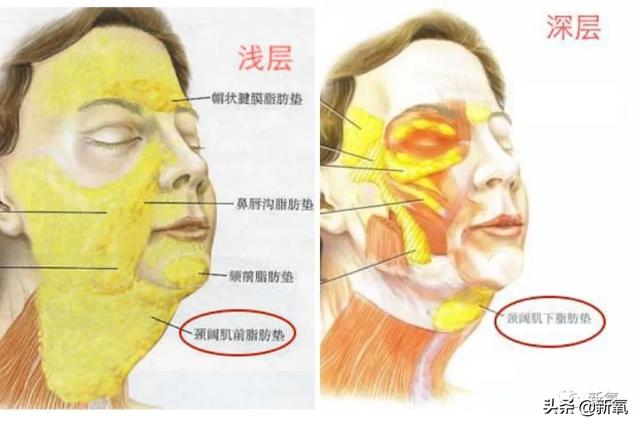 关晓彤和张嘉倪侧颜对决，被摁在地上摩擦啊…(欧阳娜娜侧颜)