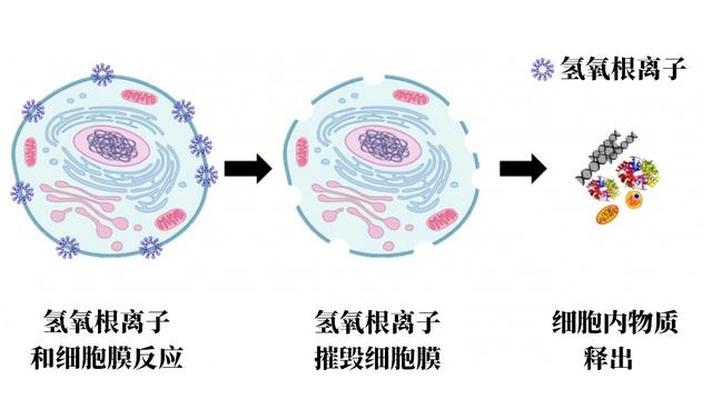 干燥剂的种类