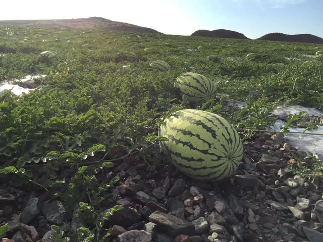 宁夏洗砂机回收的原因
