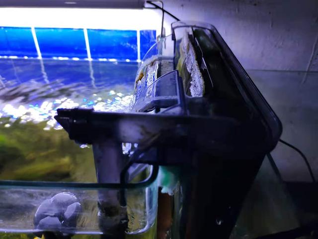 鱼缸过滤机哪个品牌好