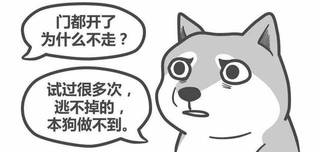 习得性无助，妨碍孩子学习的头号“敌人”