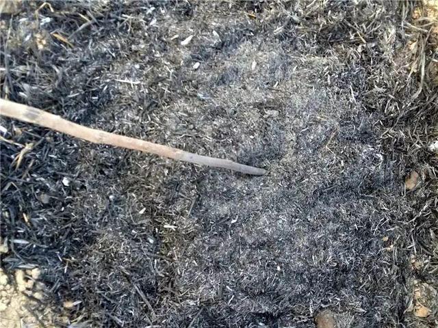能磨芝麻核桃破碎机