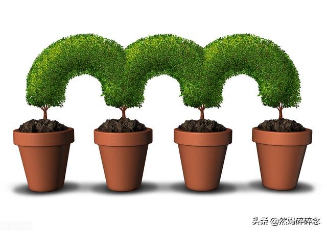 蛋白质过敏怎么办