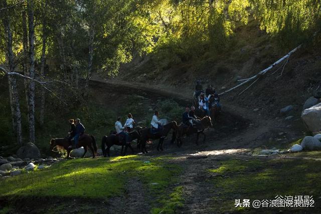 油擦 油擦（颈椎病用精油擦） 生活