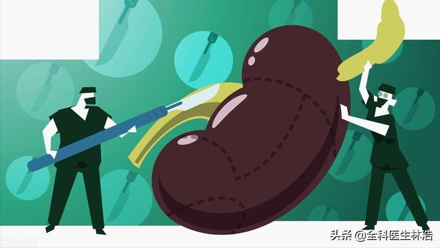 中医讲：肺为生气之主，脾为生气之源，肾为生气之根，如何理解？