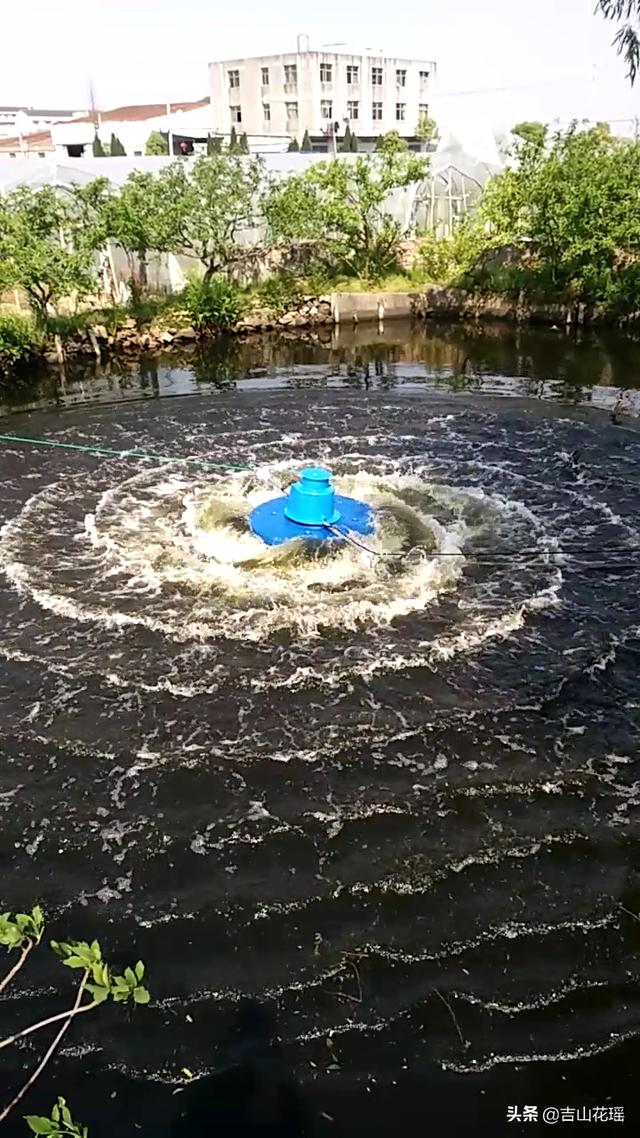 鱼塘增氧机哪种好（淡水养殖的增氧机械及其使用技术）