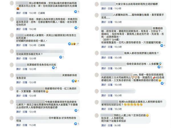 TVB全新宠物节目收164宗投诉 遭网友疯狂给负评