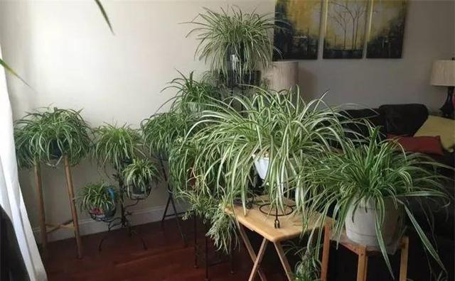 破碎机吸料不全