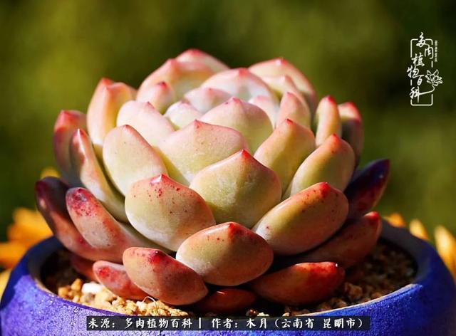 安康石英砂洗砂机厂家电话