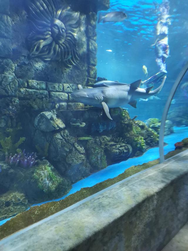 有能力就带孩子到处看看