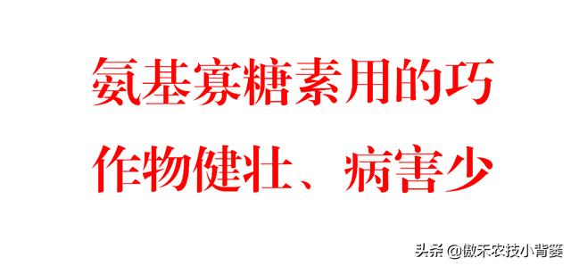 氨基寡糖素：促长壮棵+防治病虫害，作物浸种、灌根、喷施都能用2