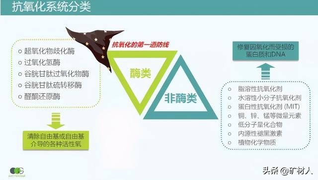 孔雀石的主要成分 孔雀石的主要成分（孔雀石的主要成分是碱式碳酸铜另外还有少量的） 生活