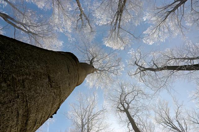 立冬时节生活道提示颈椎病患者注意了