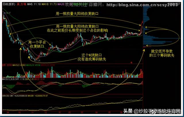 股票筹码分析软件