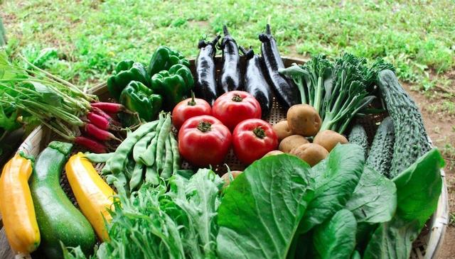 买买买！科技巨头变身美国最大的地主