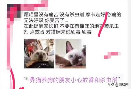 你还在用这些“作死”的方法驱蚊吗？严重可致猫咪中毒死亡！5