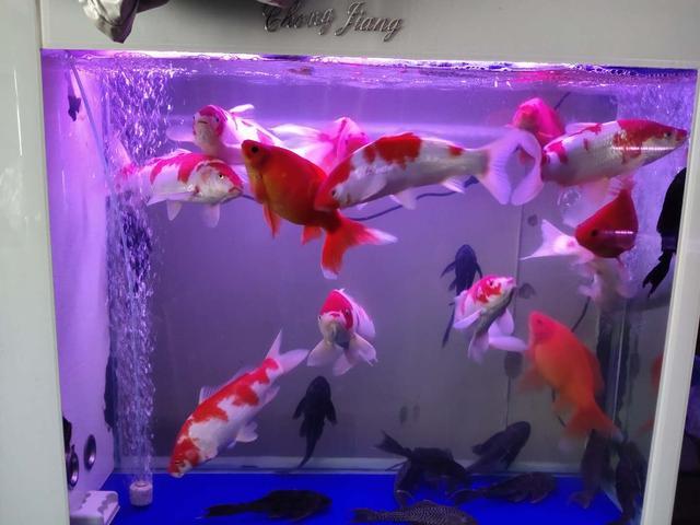 吸氧气的过滤机