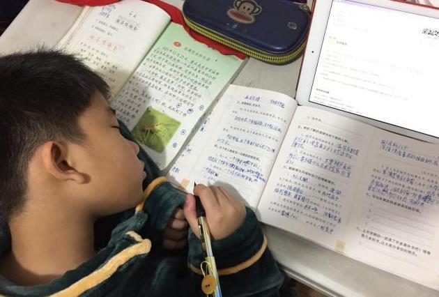 幼儿园和小学生作业火了，老师笑得手抖，家长恨不得钻地缝