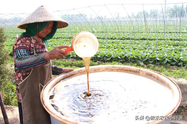 打除草剂后田间杂草杀不死、作物出现药害？这样打药除草效果最好6