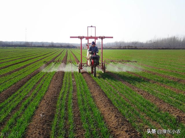 小麦要高产选择农药很关键，小农分享经济又实惠的“农药套餐”2