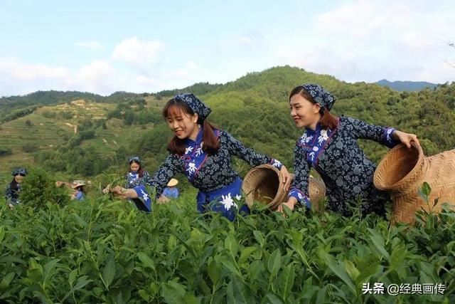全自动过滤机模型