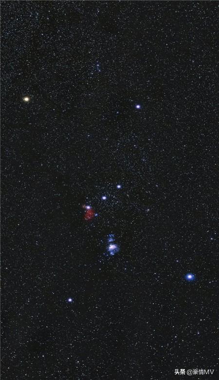 ワット 雑品 上 透明 標本 壁紙 Stalwart Jp