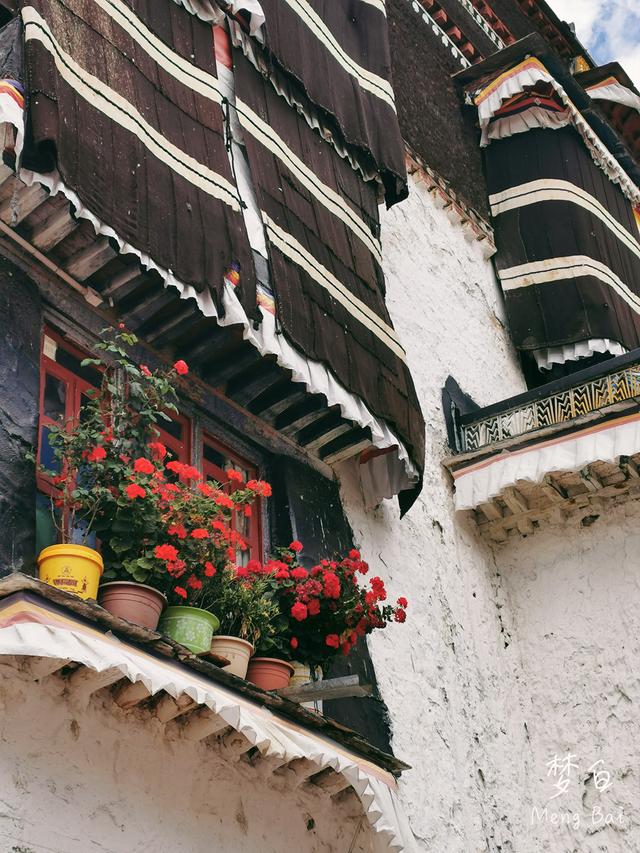 阿里南线 8 最后一站后藏的政教中心日喀则扎什伦布寺 太阳信息网