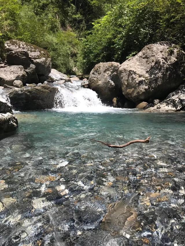 乐山石子洗砂机厂家