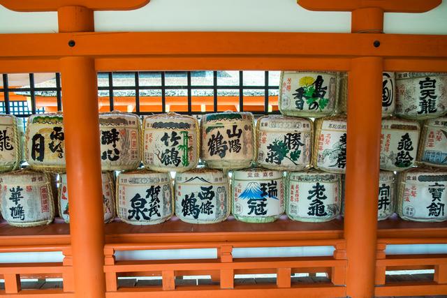 浙江dy带式压滤机厂商