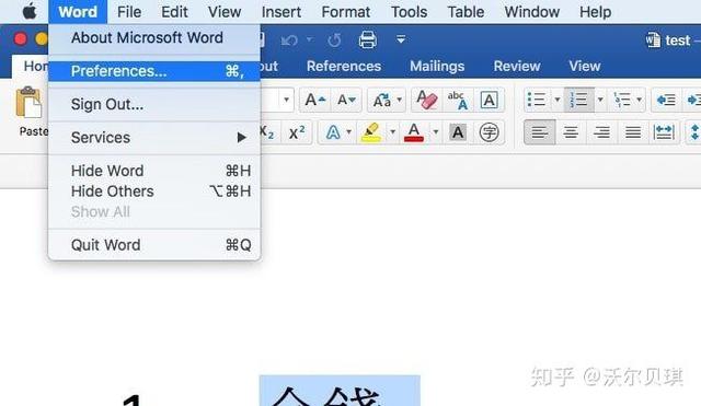 word音标