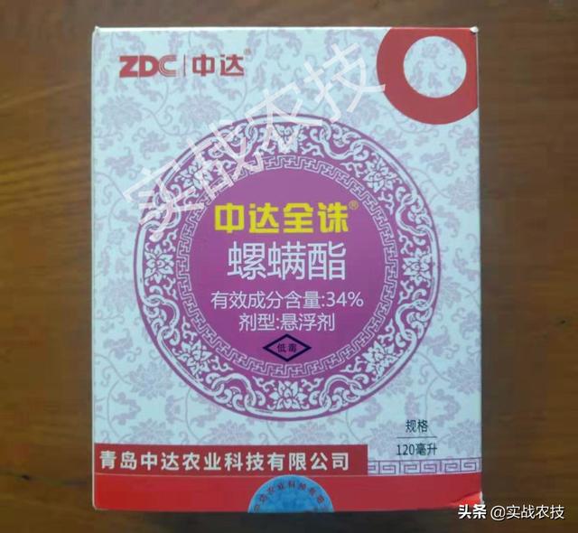 红蜘蛛不是昆虫你知道吗？抗性红蜘蛛特效药组合，持效期长达20天